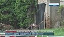 Novellara, stop al presidio al casolare di Saman
