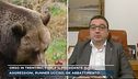 Orso in Trentino, parla il presidente Fugatti