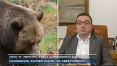 Orso in Trentino, parla il presidente Fugatti