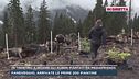 In Trentino a vedere gli alberi piantati da Mediafriends