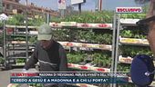 Madonna di Trevignano, parla il vivaista dell'associazione