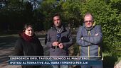 Trento, dal centro dov'è stata portata l'orsa JJ4