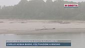 Viadana, l'emergenza siccità sul fiume Po