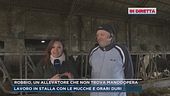 Robbio, un allevatore che non trova manodopera