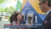 Trevignano, il giorno dell'apparizione, il paese è diviso