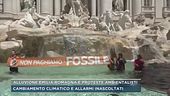 Alluvione Emilia Romagna e proteste ambientalisti