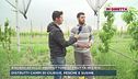 Bagnacavallo, agricoltore colpito dall'alluvione