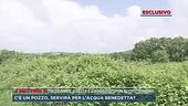 Trevignano, Gisella e l'acquisto di un nuovo terreno