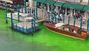 Venezia, il Canal Grande verde fosforescente