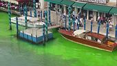 Venezia, il Canal Grande verde fosforescente