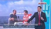 Squalo a Livorno, avvistamento dei pescatori
