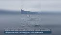 Arenzano, una balena avvistata vicino alla costa