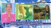 Trapani, neonato abbandonato in un campo: gli aggiornamenti