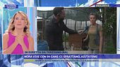 Nora vive con 94 cani: ci sfrattano, aiutatemi