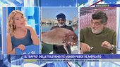 Il "Baffo" delle televendite: Vendo pesce al mercato