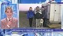 Vive in roulotte con 6 cani
