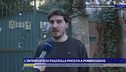 L'intervista di Piazzolla poco fa a Pomeriggio5
