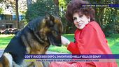 Ieri l'inventario nella villa di Gina: è guerra tra Milko e Piazzolla