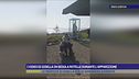 I video di Gisella in sedia a rotelle durante l'apparizione