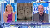 "Vi spiego come Gisella potrebbe farsi le stigmate da sola"
