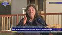 Vive in un tugurio con 18 cani - Novità per Serafina