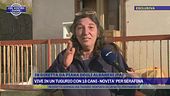 Vive in un tugurio con 18 cani - Novità per Serafina