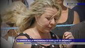 Il sangue sulla Madonnina di Gisella è di animale?