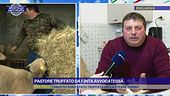 Pastore truffato da finta avvocatessa