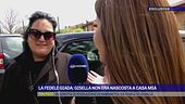 La fedele Giada: "Gisella non era nascosta a casa mia"