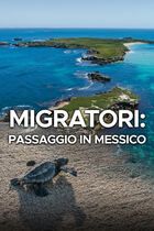 Migratori: passaggio in Messico