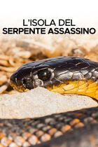 L'isola del serpente assassino