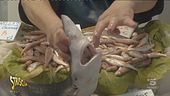 Squalo a tavola senza saperlo, l'inchiesta Shark Preyed