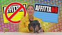 Affitti impossibili a Palermo: cosa succede