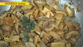 Speranza verde, le potenzialità dei funghi