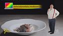 Tartufo, uovo cremoso, sedano rapa e latte d'aringa: il capolavoro di Riccardo Agostini