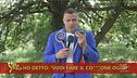 Truffe assicurative sul web (ancora)