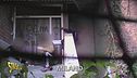 Spaccio a Milano, Brumotti in una fabbrica della droga