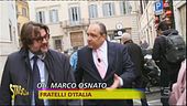 Vespone punzecchia tutti
