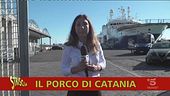 Errori tv, un Tg 1 da non credere