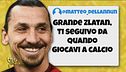 Mondiali in Qatar e Ibrahimovic, i meme più divertenti
