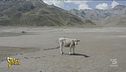 Desertificazione in Italia, quali sono le regioni a rischio