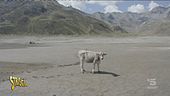 Desertificazione in Italia, quali sono le regioni a rischio