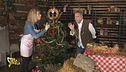 Albero anti spreco, addobbare al naturale