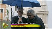 Il ritorno di Beppe Grillo