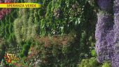Con la riduzione degli spazi arrivano i giardini verticali