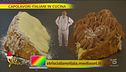 Il Panettone con le sue creme, la versione di Simone Finazzi e Davide Comaschi
