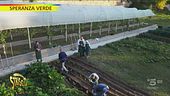 La terra stimola, piantare frutta per stare meglio