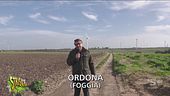 Pinuccio mette uno "sparatrap" all'acquedotto (cioè un cerotto detto alla pugliese)