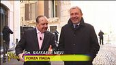 Vespone, passi felpati e domande pungenti