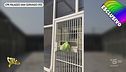 Esclusivo: sedativi e gabbie nel CPR di Palazzo San Gervasio